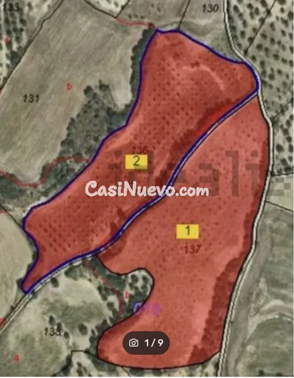 Suelo rústico en Venta en Cregenzan Huesca