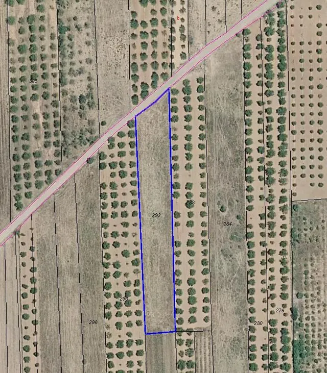 FINCA RUSTICO SECANO EN VILLAFAMES ACCESO POR CAMINO ASFALTADO — 7