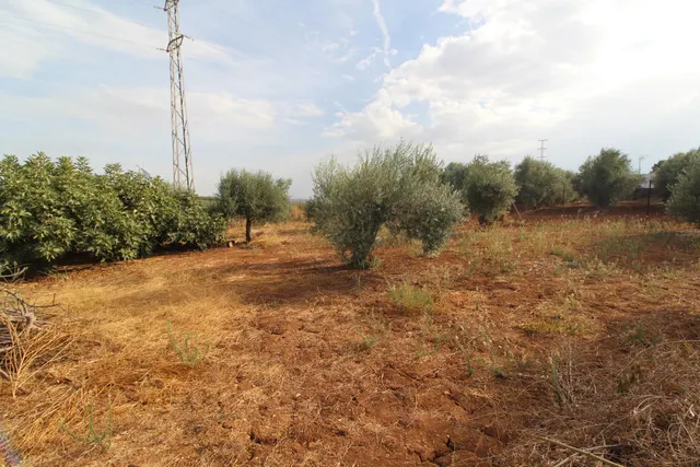 SE VENDE CASA RURAL EN GIBALBIN — 14