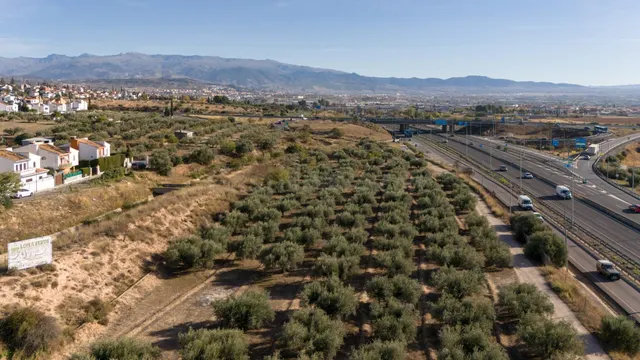 Oportunidad Única en Loma Verde: Suelo Urbano para Vivienda 