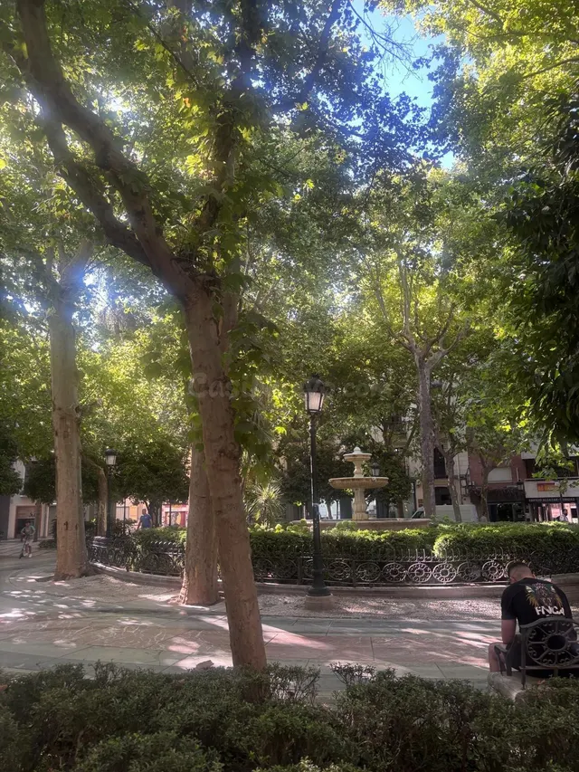 ¡Piso para Estudiantes en el Corazón de Granada! ✨