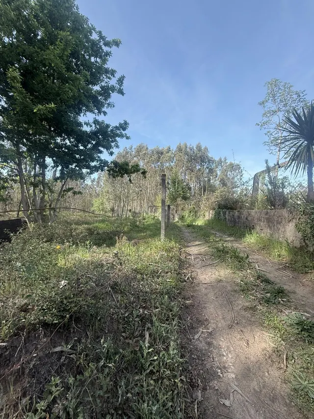 Terreno Rústico en venta - Arca e Ponte de Lima - foto 3