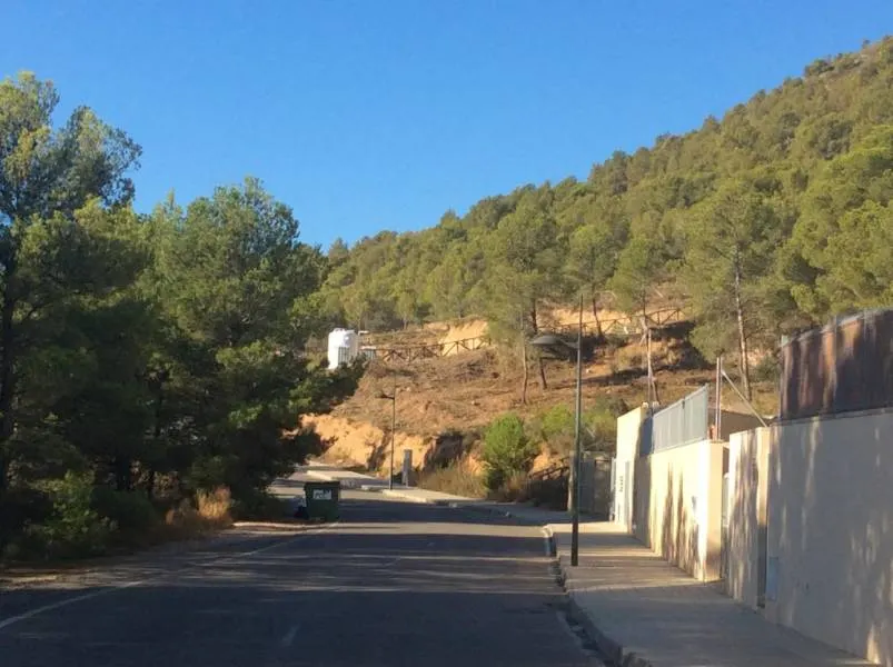TERRENO