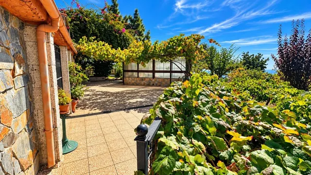 Finca exclusiva en Vilaflor · 2 viviendas, viñedo, bodega y piscina — 57