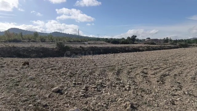 Fincas rurales en venta en Salinas - Comunidad Valenciana - foto 3