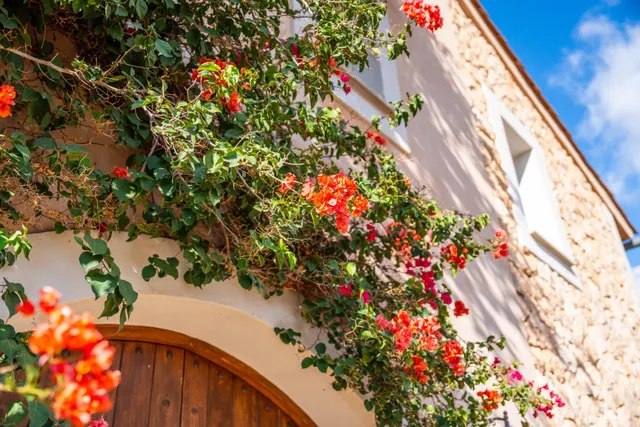 Una finca familiar cuidada con esmero que reúne lo mejor de dos mundos — 43