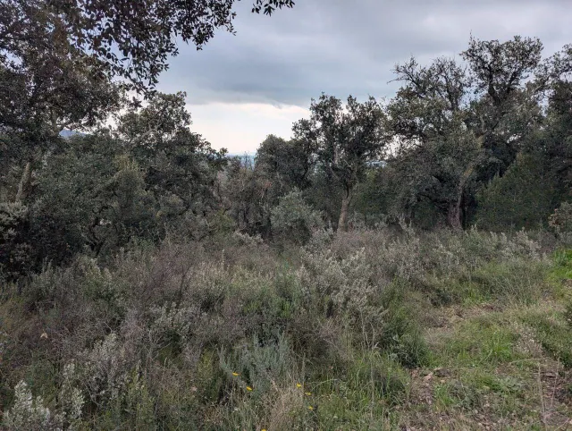Oportunidad única: Terreno Rústico de 32.000 m2 en un Entorn - foto 3