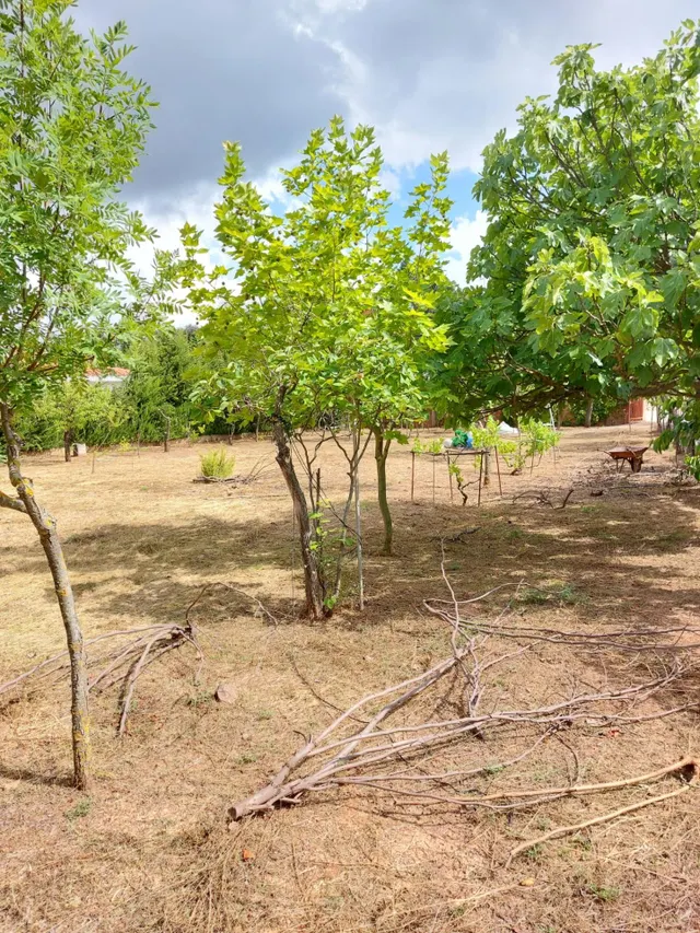TERRENO LLANO Y ESQUINERO, CON MURO Y AGUA — 8