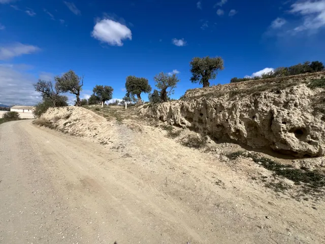 Un rincón de paz y futuro en Alhendín (SOLAR URBANIZABLE) — 20