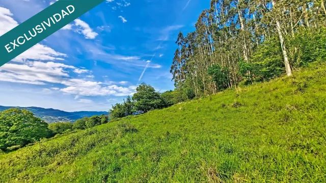 Más de una hectárea de Asturias, una cabaña de piedra y todo el valle por delante. — 11