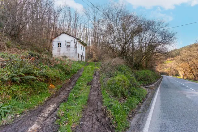 Oportunidad real: casa con parcela para rehabilitar en Tineo — 9