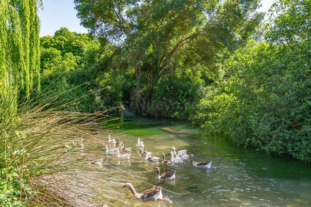 ¿Sueñas con vivir en plena naturaleza, rodeado de tranquilid