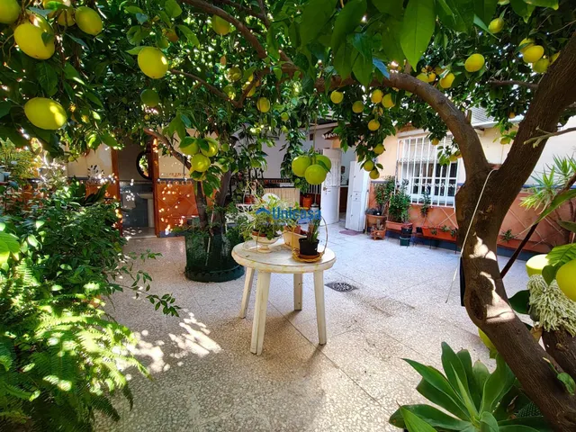Casa mata en una sola planta con amplio garaje y precioso patio andaluz en el tomillar — 2