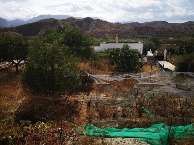 Finca rústica en Santa Cruz de Marchena - foto 3