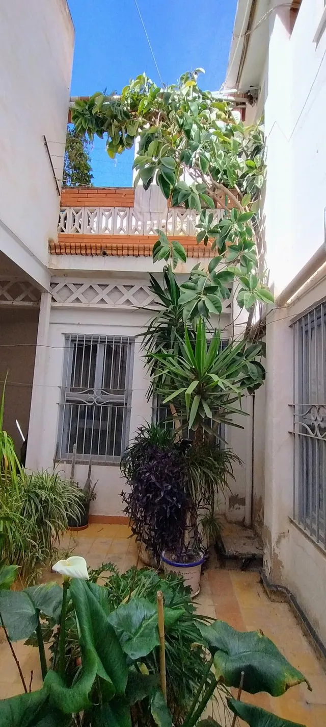 SE VENDE CHALET Y EDIFICIO DE 2 PLANTAS EN PETRER — 26