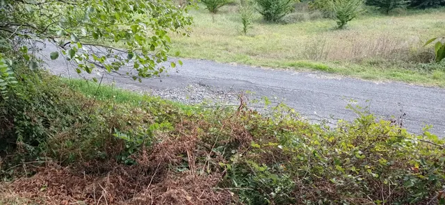 TERRENO URBANO EN VENTA EN PONTEULLA DE 3241 METROS - foto 3