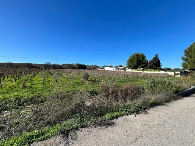 Parcela en venta - sur - foto 3