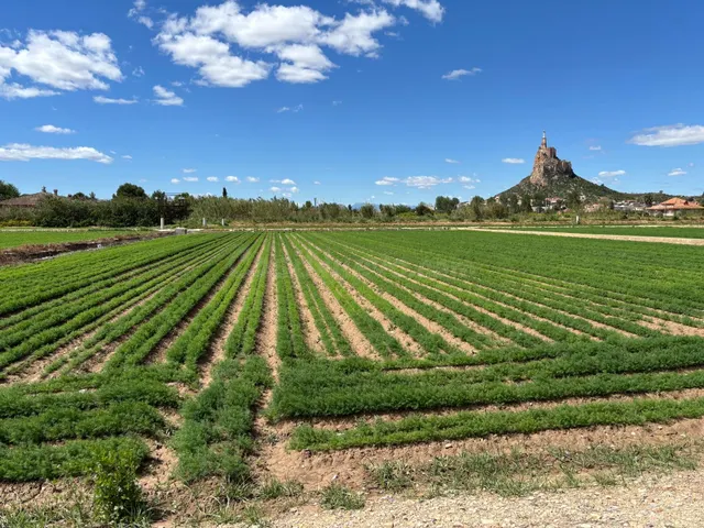 PARCELA URBANA EN VRDA DE LA CUEVA MONTEAGUDO — 4