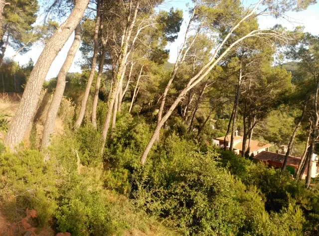 Espectacular terreno que da a dos calles, en Corbera de Llobregat, cerca Hotel Can Fisa. — 39