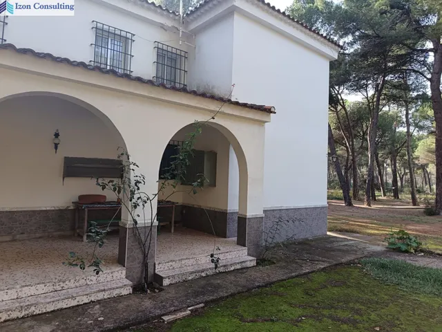 Espectacular parcela con chalet y piscina a 15 minutos de Albacete — 21
