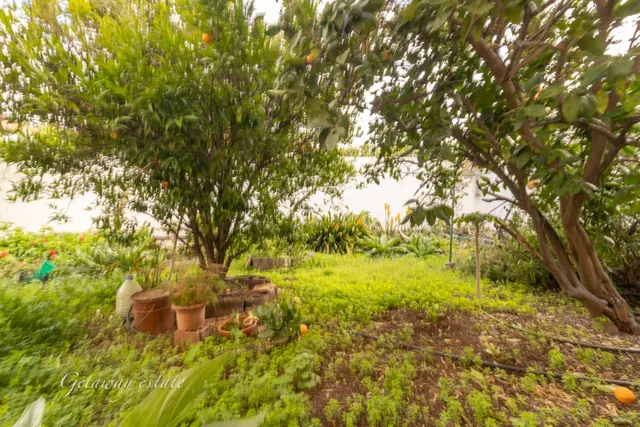 Casa en venta - Propiedad con dos viviendas independientes. — 15
