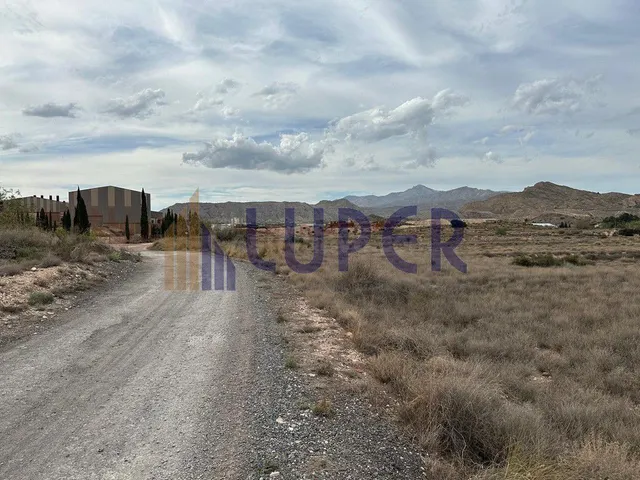 Se vende una hermosa parcela rústica en Moralet , ALICANTE - foto 3