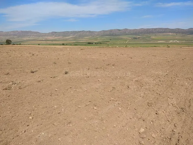 Parcela en venta - Ayuntamiento - foto 2