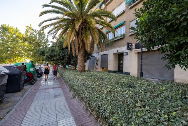 Local de 50 m2 cerca del centro de Granada con posibilidad de cambio de uso a vivienda — 7
