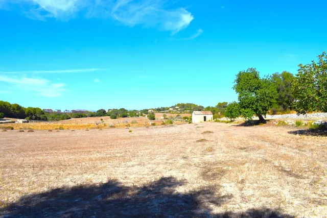 Finca rústica con posibilidad de vivienda en Llubi - foto 4