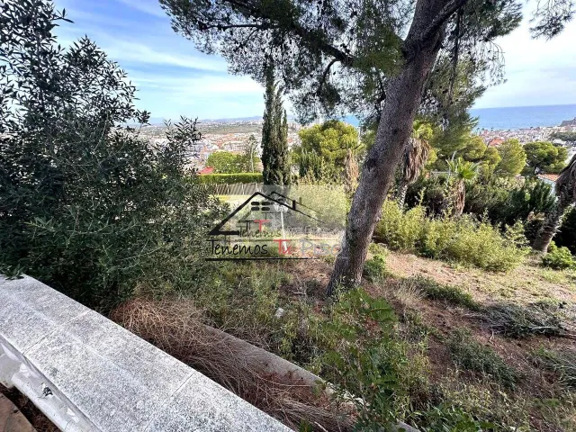 FINCA EN ATALAYAS CON VISTAS FRONTALES AL CASTILLO DE PEÑISC - foto 5