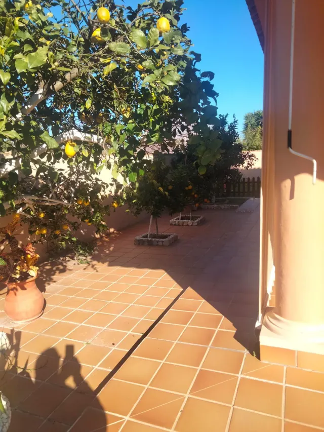 Chalet 4 habitaciones 196m² en venta - El campito — 7