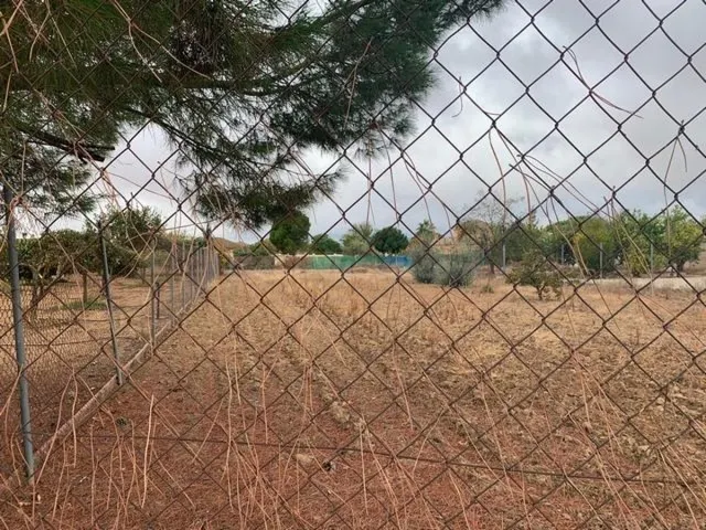Parcela de terreno de 2100 m. en La Gorgoja. - foto 2