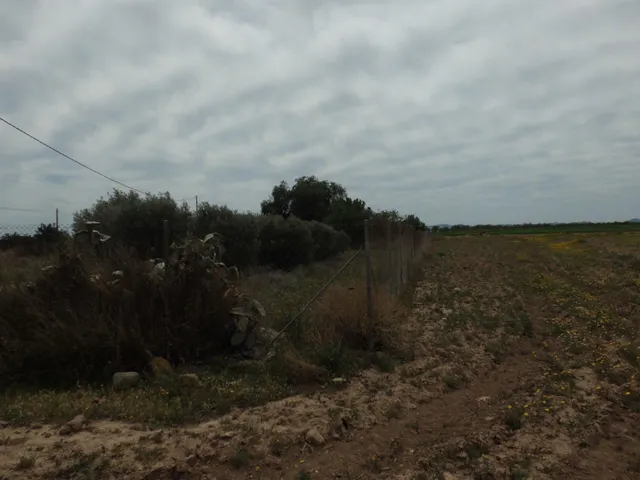 Terreno Rústico de 1800 m2 en Valladolises ✨ — 16