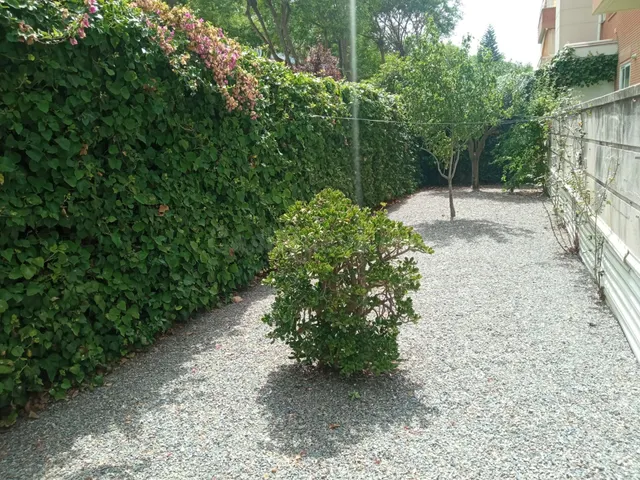 Piso para vivir todo el año! (Esq c/ Barcelona) - foto 5