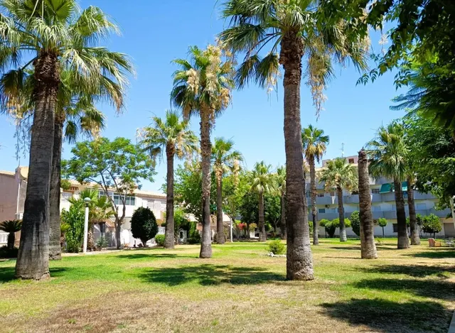 Bungalow 2 habitaciones 70m² en venta - Campoamor — 29