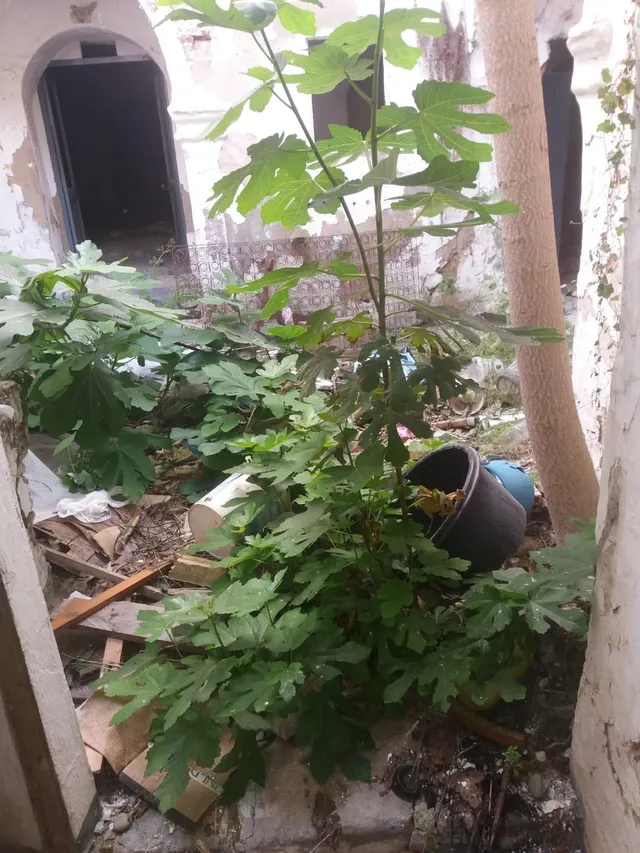 Venta de Casa con Bar — 12