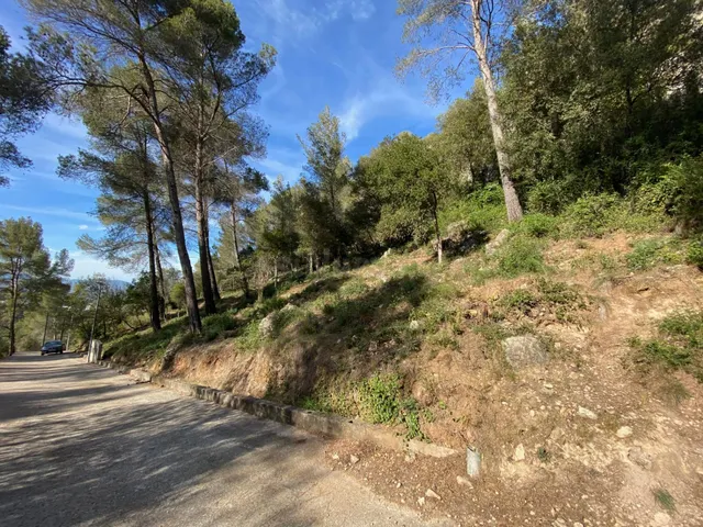 Venta de Terreno en plena naturaleza en Corbera de LLobregat - foto 2