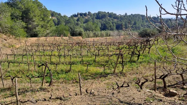 Venta Finca Rústica, Urb. Castellmoster, Castellvell Del Cam - foto 4