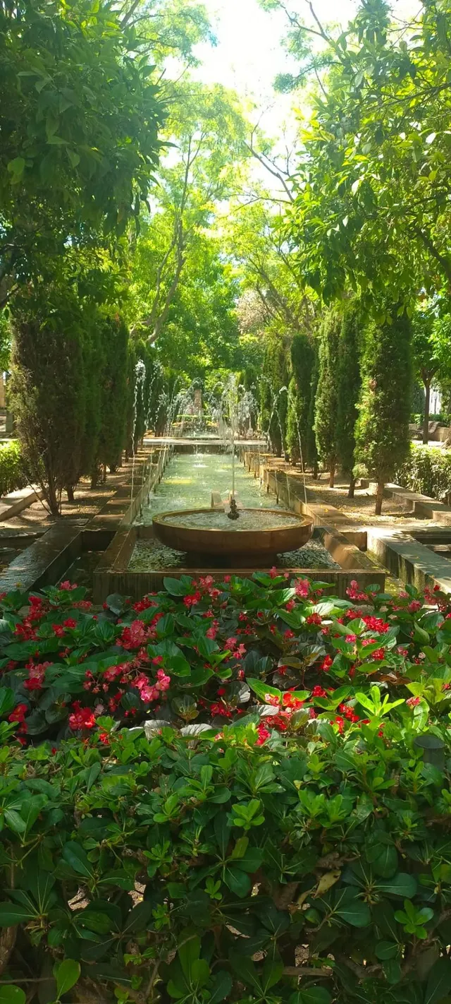 Espectacular Dúplex Ático Zona La Rambla — 2