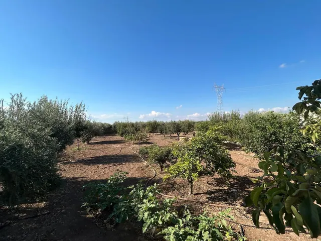 FINCA RUSTICA EN VENTA, LA PUEBLA — 14
