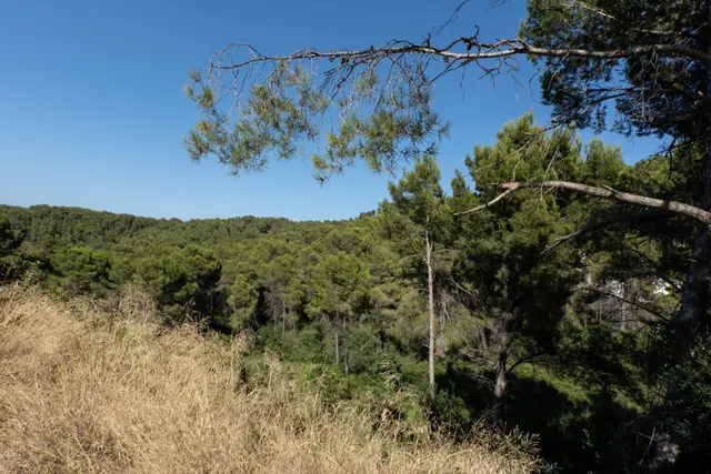 Parcela en venta - Montañar I — 6