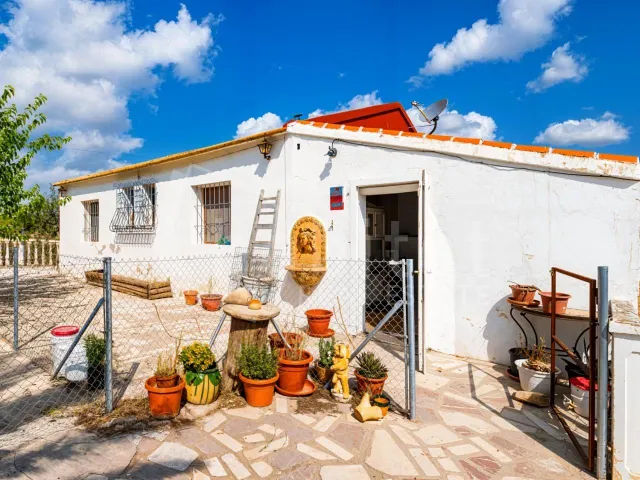 Casa de Campo en Torremendo /orihuela — 16