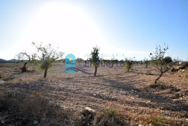 TERRENO en venta - foto 3