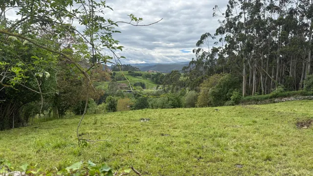 Terreno rural en venta - Lamadrid - foto 3