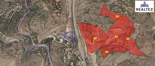 FINCA EN VENTA EN ALCOLEA CON UNA NAVE CONSTRUIDA Y CULTIVO  - foto 3