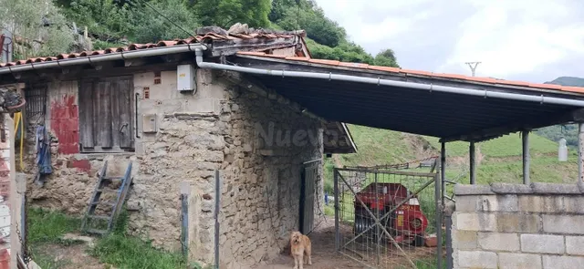 FINCA DE 30.000M2 CON CASA Y CUADRAS - foto 3