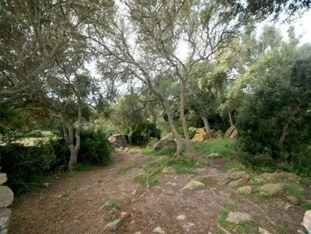M-7117 Casa de Campo en  Alaior — 17