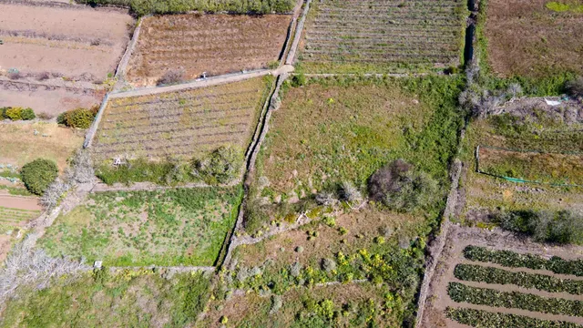 Suelo Rústico de Protección Agraria - foto 3