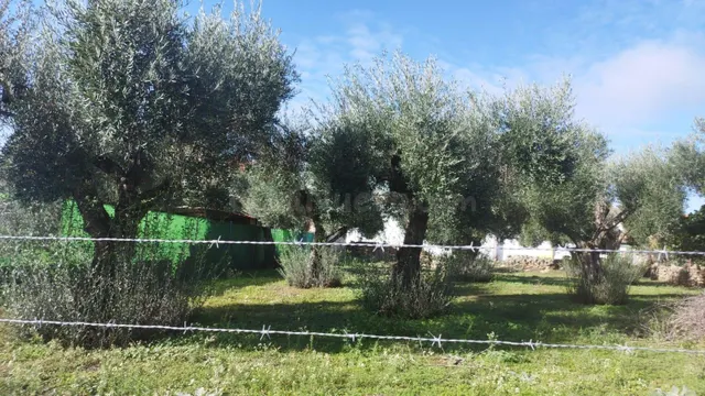 Estupenda parcela urbana en el centro de Aldea del Cano