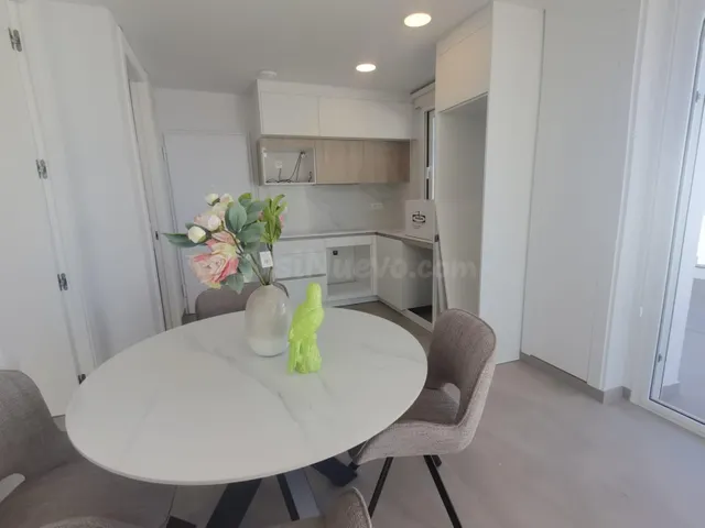 Ático llave en mano de 1 dormitorio con amplia terraza a 50m - foto 5
